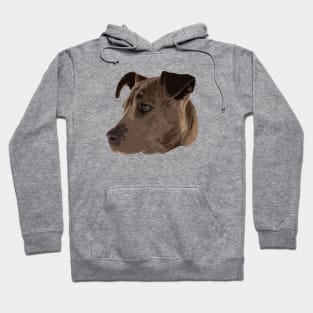 Brown Pitbull Head Hoodie